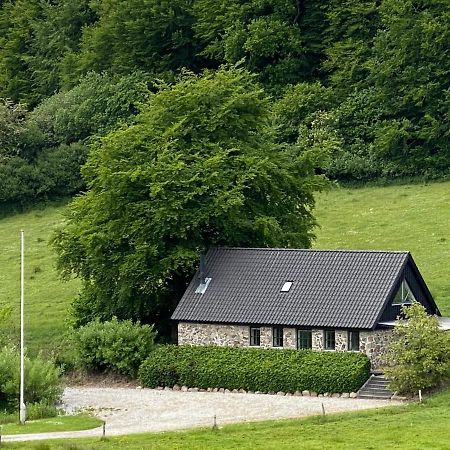 Stenhuset I Pilbrodalen สแกนเดอร์บอร์ก ภายนอก รูปภาพ